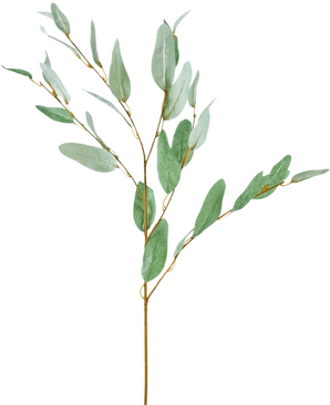 La Branche Artificielle Eucalyptus 86 cm vert possède une seule branche d'eucalyptus décorative avec de fines feuilles de soie verte et de fines tiges brunes, isolées sur un fond blanc.