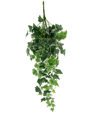 De Kunst Klimop 70 cm groen/wit heeft kunstmatige klimopbladeren in groen met witte randen, gerangschikt in een cascadevorm en weergegeven tegen een effen witte achtergrond.