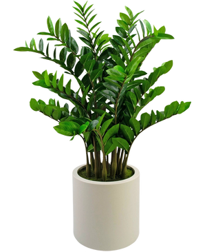 La plante artificielle Zamioculcas prête à l'emploi, de 120 cm de haut avec des feuilles vertes brillantes, se tient debout dans un simple pot beige sur un fond blanc uni.