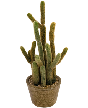 Le cactus artificiel Cereus 35 cm a plusieurs longues tiges duveteuses vertes et brunes qui poussent vers le haut dans différentes directions, dans un pot rond avec texture et pierres décoratives.