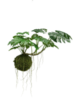 La plante artificielle suspendue Monstera Deluxe 60 cm possède de grandes feuilles vertes et de longues racines suspendues à une boule de mousse, qui crée une ambiance tropicale sur un fond blanc.