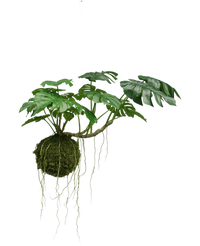 Plante artificielle tombante Monstera Deluxe 60 cm