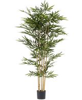 De Kunstplant Bamboe 210 cm is een hoge kunstbamboe met slanke groene bladeren en meerdere gele stengels, in een kleine zwarte pot tegen een witte achtergrond.