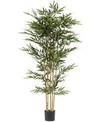 Plante artificielle Bambou 210 cm