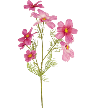 Une seule fleur artificielle Cosmos de 74 cm fuchsia avec des feuilles délicates et plumeuses et de multiples fleurs fuchsia au centre jaune est présentée sur un fond blanc uni.