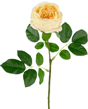 La Rose de Jardin Artificielle "Anniken" Real Touch jaune 72cm possède une seule rose jaune avec plusieurs feuilles vertes sur une longue tige, sur un fond blanc uni.