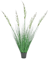 Le Gazon Artificiel Blé 120 cm ignifuge en pot possède des feuilles hautes et dressées et des tiges fleuries, ce qui le rend idéal pour un intérieur verdoyant. Cette plante sans entretien ajoute une verdure élégante sur un fond blanc.
