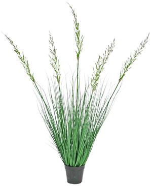 Le Gazon Artificiel Blé 120 cm ignifuge en pot possède des feuilles hautes et dressées et des tiges fleuries, ce qui le rend idéal pour un intérieur verdoyant. Cette plante sans entretien ajoute une verdure élégante sur un fond blanc.