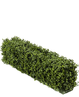 Une haie de buis artificiel UV rectangulaire de 100x20x25 cm présente des feuilles de buis artificiels verts denses sur un fond blanc uni.