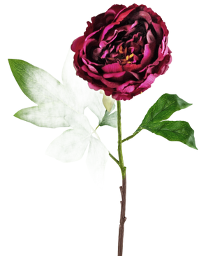 La fleur artificielle Pivoine aubergine 61 cm est une pivoine artificielle avec des pétales rouge foncé superposés sur une tige fine, accentuée par des feuilles vertes et blanc clair, sur un fond blanc uni.