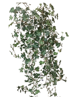 Le Lierre Artificiel Deluxe Riche Vert-Blanc 90 cm a des feuilles lobées vertes et blanches luxuriantes sur des tiges traînantes, qui se détachent magnifiquement sur un fond blanc uni.