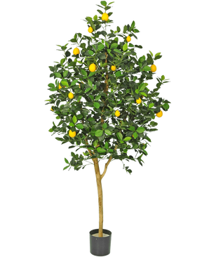 Le Citronnier Artificiel 150 cm a un tronc marron, des feuilles vertes et plusieurs citrons jaunes dans un pot sur un fond blanc uni.