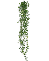 De Kunst hangplant Klimop deluxe 180 cm groen is een lange kunst klimop met veel kleine groene blaadjes, verticaal hangend tegen een effen witte achtergrond.