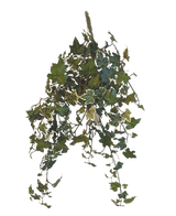 Le Lierre Artificiel Deluxe Vert-blanc 60 cm est une plante de lierre artificiel suspendu avec des feuilles panachées vertes et blanches en cascade, sur un fond blanc uni.