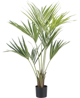 De Kunstplant Kentia Palm 120 cm heeft lange, groene, slanke bladeren en wordt geleverd in een kleine zwarte pot, tegen een effen witte achtergrond.