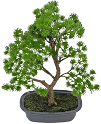 Plante artificielle Bonsai Juniper 30 cm
