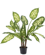 Le Dieffenbachia artificiel de 40 cm, avec des feuilles vertes luxuriantes et des taches jaune-blanc clair, se dresse élégamment dans des pots décoratifs élégants sur un fond blanc uni.