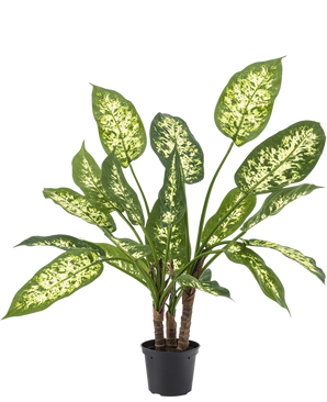 Le Dieffenbachia artificiel de 40 cm, avec des feuilles vertes luxuriantes et des taches jaune-blanc clair, se dresse élégamment dans des pots décoratifs élégants sur un fond blanc uni.