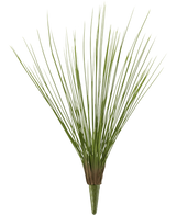 Le gazon artificiel Royal Grass UV 60 cm possède des tiges de gazon artificiel vertes, hautes et fines, regroupées à la base et en éventail vers l'extérieur, sur un fond blanc uni.