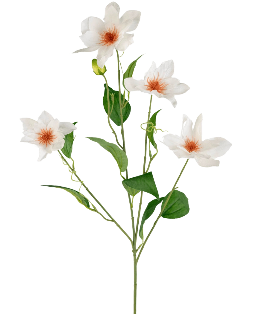La Clématite Artificielle Real Touch Blanche 88 cm possède une tige avec quatre fleurs blanches au cœur orange et plusieurs feuilles vertes sur de fines branches, sur un fond blanc uni.