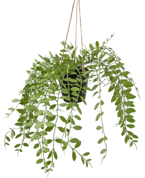 La plante artificielle suspendue Pumila en pot de 30 cm présente des vrilles vertes avec des feuilles ovales, suspendues à trois ficelles sur un fond blanc uni.