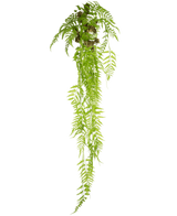 La plante artificielle suspendue Fougère Deluxe 150 cm possède de longues feuilles vertes qui tombent sur un fond uni blanc.