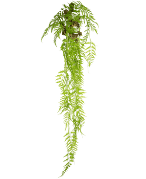 La plante artificielle suspendue Fougère Deluxe 150 cm possède de longues feuilles vertes qui tombent sur un fond uni blanc.