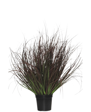 Le Gazon Artificiel Plante Pelouse 50 cm ignifuge est livré dans un pot en plastique noir, avec du gazon ornemental épineux aux feuilles longues et fines violet foncé et vertes - parfait pour la décoration intérieure - sur fond blanc.