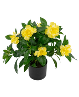 La plante artificielle Gardenia UV 39 cm est une plante artificielle d'un vert luxuriant avec de grandes fleurs jaune vif et des feuilles brillantes dans un pot noir, sur un fond blanc uni.