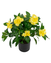 Plante artificielle Gardenia 39 cm