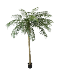Palmier artificiel Phoenix De Luxe 250 cm