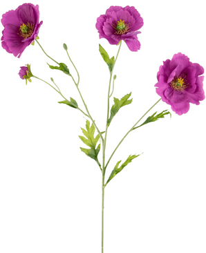 De Kunst Klaproos Real Touch Paars 65cm heeft een enkele groene steel met drie bloeiende paarse bloemen en verschillende knoppen, elke bloem met een geel hart en delicate groene bladeren, allemaal tegen een effen witte achtergrond.