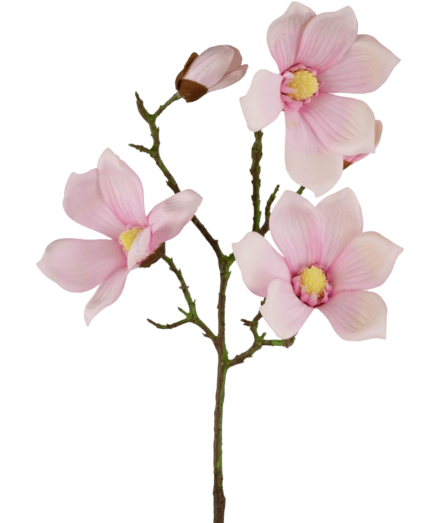 Le Magnolia Artificiel Real Touch Rose 72 cm présente plusieurs fleurs et bourgeons de magnolia rose clair avec un cœur jaune sur des tiges vertes, sur un fond blanc uni.