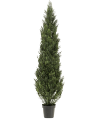 Thuya artificiel UV 180cm