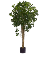 La Plante Artificielle Schefflera petites feuilles 150 cm possède un tronc haut torsadé et des touffes denses de feuilles vert foncé sur un fond uni blanc. Idéal pour ajouter une touche de fraîcheur à votre intérieur ou pour exposer dans des pots décoratifs élégants.