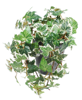 Le Lierre Artificiel Deluxe vert-blanc en pot 22 cm UV est composé de lierre anglais panaché de vert et de blanc qui tombe en cascade sur un pot gris sur fond blanc.