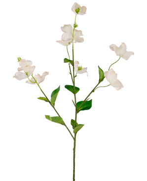 Een enkele Kunst kornoelje Real Touch Wit/roze 74cm heeft lichtroze-witte kunstbloemen van kornoelje en groene bladeren op een lange, slanke steel, tegen een witte achtergrond.
