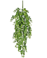 La plante artificielle suspendue Pancake 61 cm a des feuilles artificielles d'un vert vif qui tombent sur un fond blanc uni et ressemblent à une véritable vigne suspendue.
