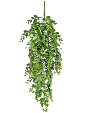 La plante artificielle suspendue Pancake 61 cm a des feuilles artificielles d'un vert vif qui tombent sur un fond blanc uni et ressemblent à une véritable vigne suspendue.