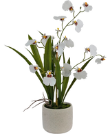 L'Oncidium artificiel Real Touch 48 cm blanc présente des orchidées blanches réalistes avec des feuilles vertes, joliment disposées dans un pot en céramique simple, rond et de couleur claire.