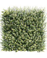 Haie artificielle Buis beige 50x50 cm UV : Panneau carré dense de verdure artificielle avec de petites feuilles vertes et beiges, conçu pour ressembler à une haie épaisse ou à un mur de jardin, sur un fond uni blanc.