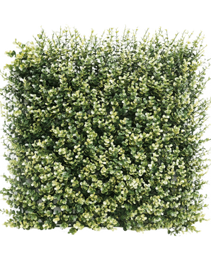 Haie artificielle Buis beige 50x50 cm UV : Panneau carré dense de verdure artificielle avec de petites feuilles vertes et beiges, conçu pour ressembler à une haie épaisse ou à un mur de jardin, sur un fond uni blanc.