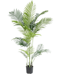 Plante artificielle Phoenix 170 cm