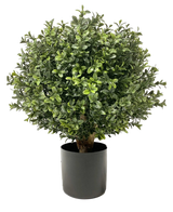 Le Buis artificiel sur tige UV d30 cm est une plante verte ronde et touffue aux feuilles denses et brillantes dans un pot cylindrique uni noir, représenté sur fond blanc.