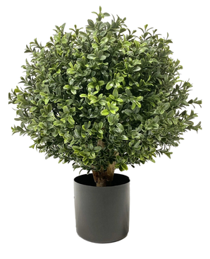 Le Buis artificiel sur tige UV d30 cm est une plante verte ronde et touffue aux feuilles denses et brillantes dans un pot cylindrique uni noir, représenté sur fond blanc.