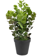 La Plante Artificielle Vicks 33 cm est une plante artificielle à feuilles vertes rondes dans un simple pot noir, sur un fond blanc uni.