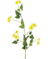 De Kunstbloem Boterbloem 77 cm is een enkele groene stengel met meerdere takken, kleine gele bloemen en groene bladeren-ideaal voor je boeket samenstellen-getoond op een effen witte achtergrond.