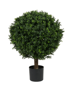 Le Buis Artificiel sur tige style Romain UV 85 cm est un arbre artificiel rond, feuillu, vert, au feuillage dense et au tronc unique, dans un pot simple noir sur fond blanc uni.