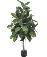 L'hévéa artificiel de 150 cm a de larges feuilles vert foncé brillantes et est placé dans un petit pot noir sur un fond blanc.