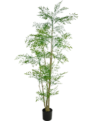 Plante artificielle Ruscus 210 cm